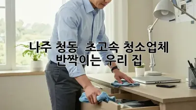 나주 청동 🚀 초고속 청소업체, ✨반짝이는 우리 집!✨